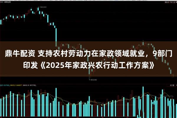 鼎牛配资 支持农村劳动力在家政领域就业，9部门印发《2025年家政兴农行动工作方案》