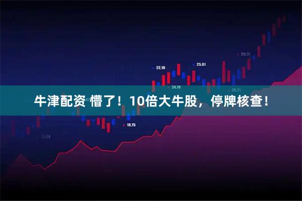 牛津配资 懵了！10倍大牛股，停牌核查！