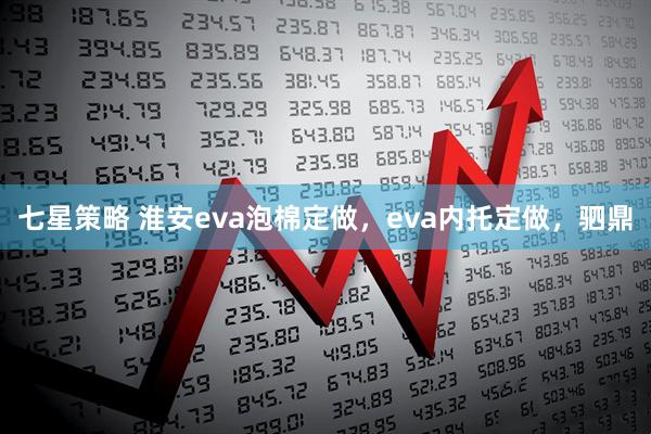 七星策略 淮安eva泡棉定做，eva内托定做，驷鼎